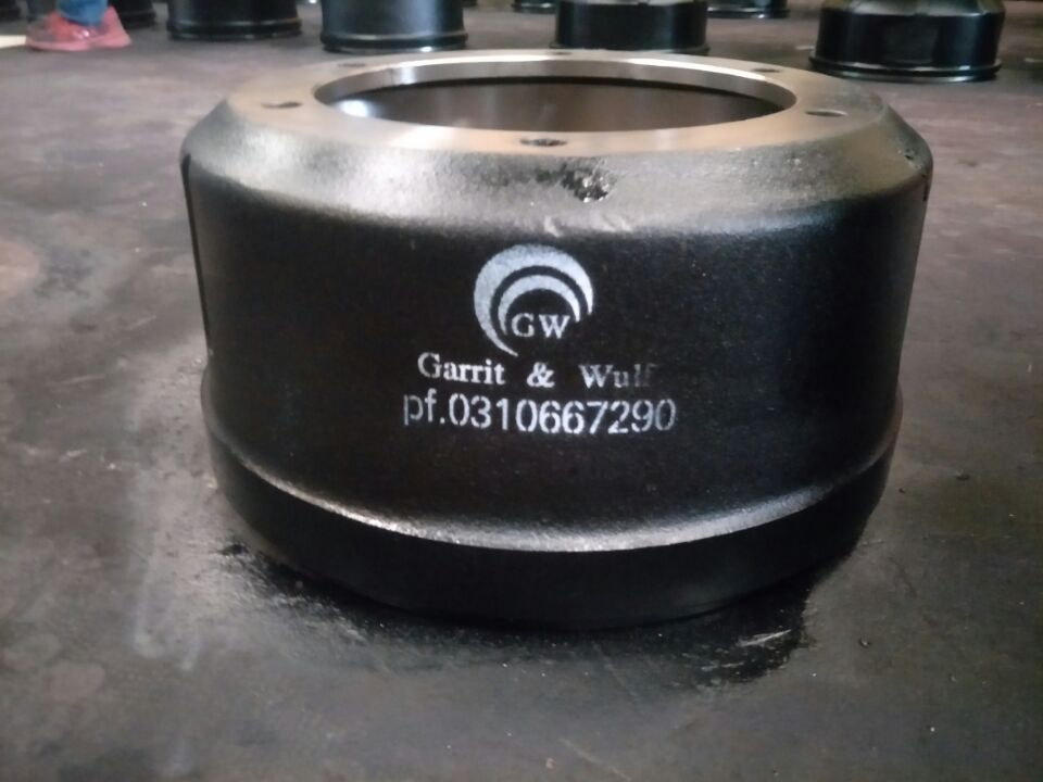 0310667290